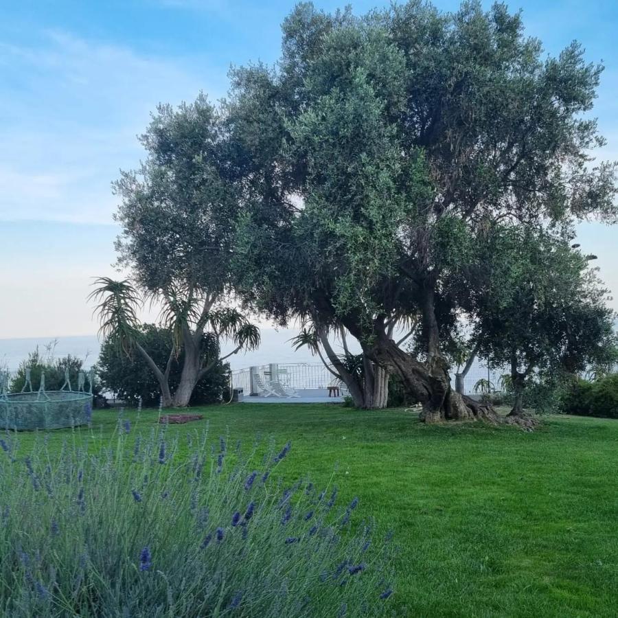 Agriturismo La Tuffatrice Imperia Zewnętrze zdjęcie