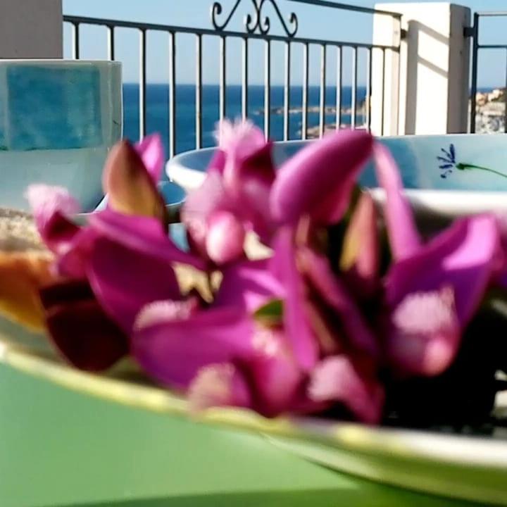 Agriturismo La Tuffatrice Imperia Zewnętrze zdjęcie