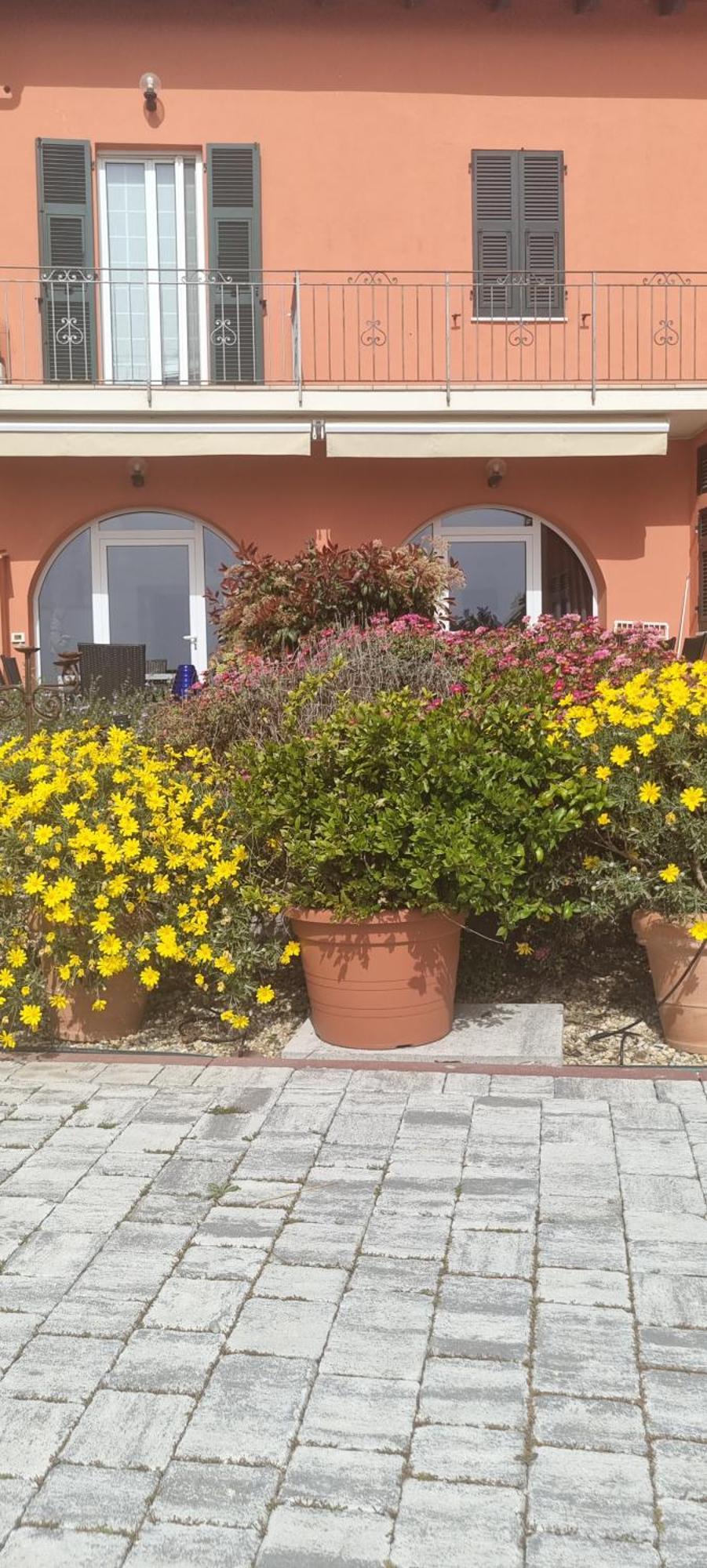 Agriturismo La Tuffatrice Imperia Zewnętrze zdjęcie
