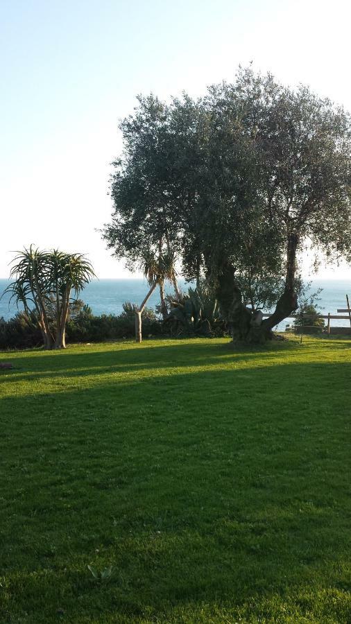 Agriturismo La Tuffatrice Imperia Zewnętrze zdjęcie